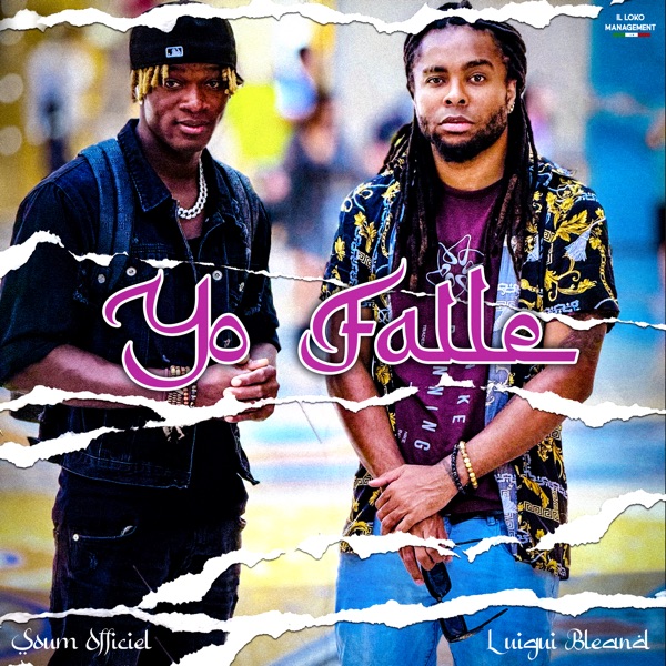 Yo Fallé cover